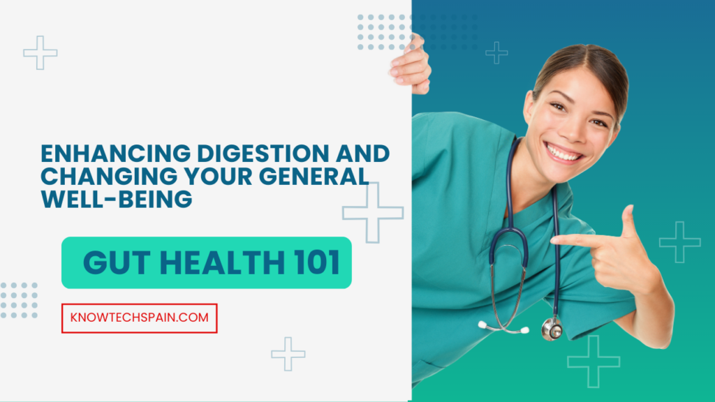 Gut Health 101: Enhancing Digestion and Changing Your General Well-Being